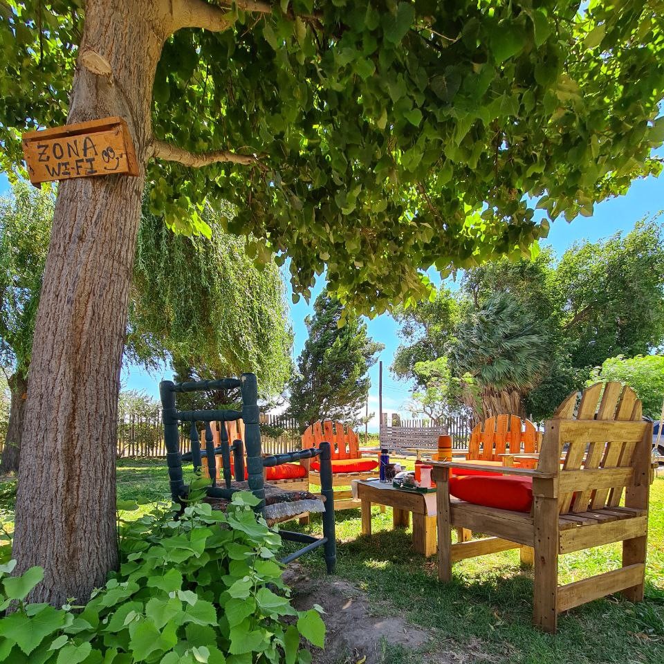 mates tarde descanso arbol sombra san martin san juan patio finca portalito c