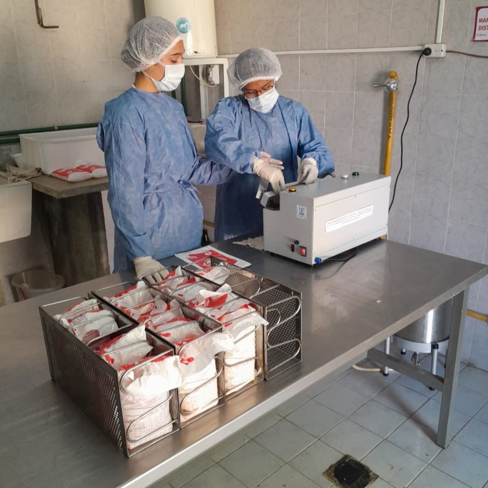 tierra de vainas agrotecnica valle fertil algarroba algarrobo actividades